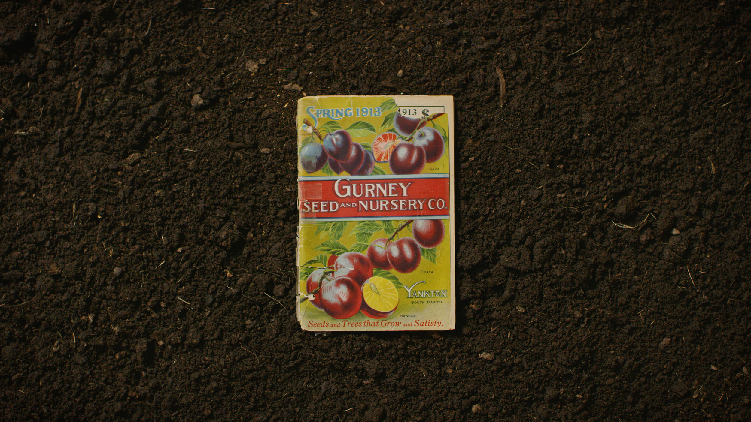 Gurney seeds online